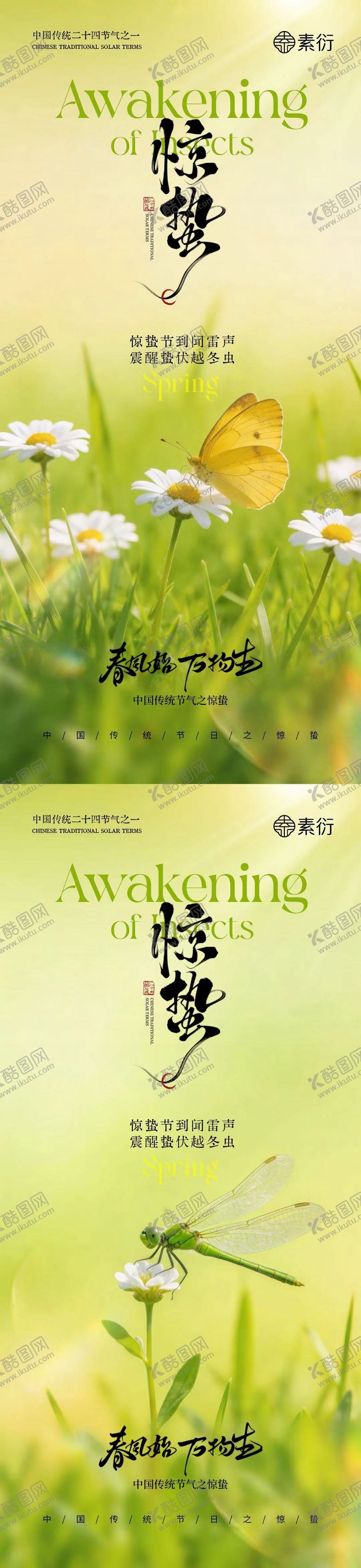 编号：84163202230116317456【酷图网】源文件下载-地产惊蛰花朵摄影系列海报