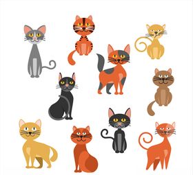 手绘猫