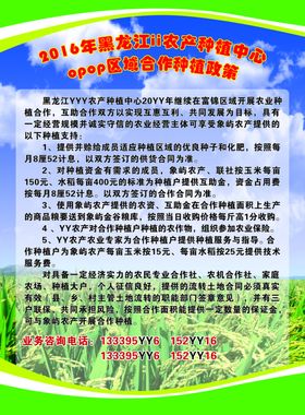 农产品宣传页