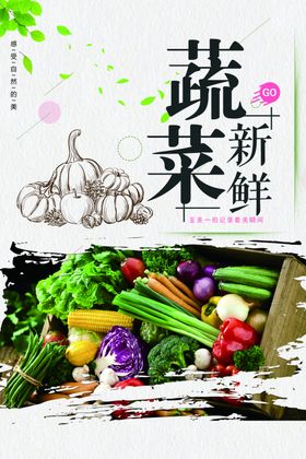 蔬菜辣椒豆角饮食有机