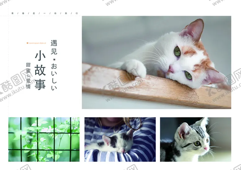 编号：07568410100257598923【酷图网】源文件下载-日系写真画册相册留着夏的记忆