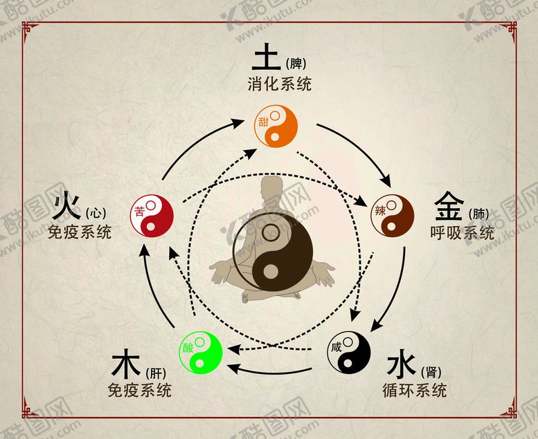 编号：04938110060506011842【酷图网】源文件下载-五行脏腑