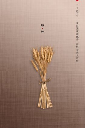 芒种海报
