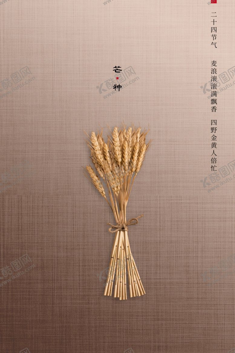 编号：13685706241943328615【酷图网】源文件下载-芒种海报