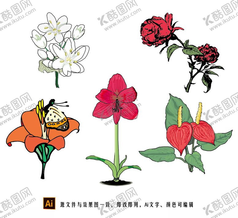 编号：31010502201524341041【酷图网】源文件下载-花卉