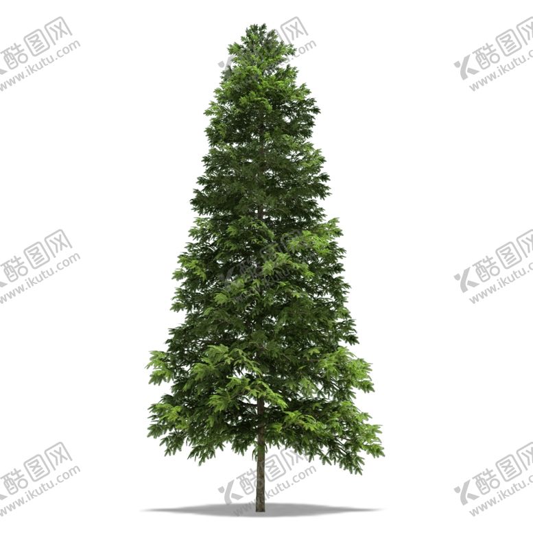 编号：94269411011127305561【酷图网】源文件下载-树木