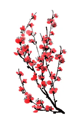 水墨梅花红红卉背景