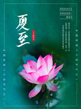 夏至插画荷花
