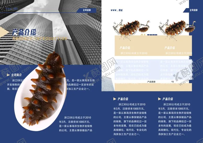 编号：90173809221800293402【酷图网】源文件下载-产品图册