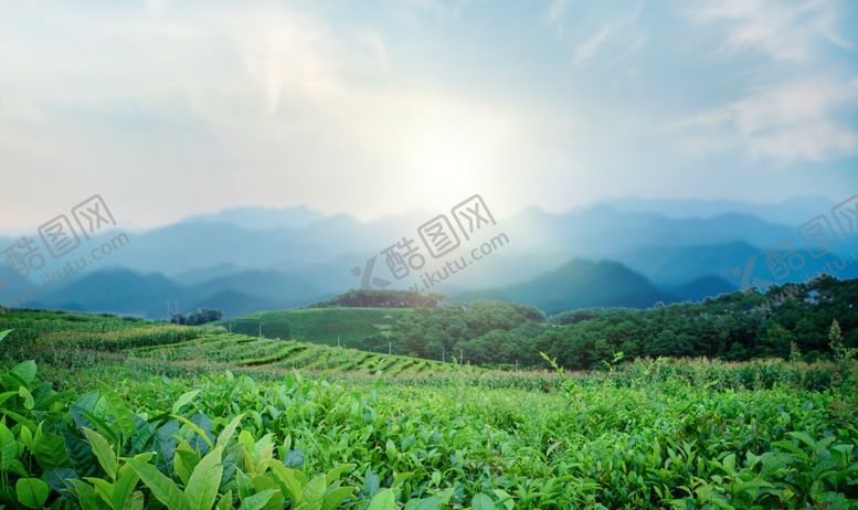 编号：47700005030922296871【酷图网】源文件下载-蓝天白云大草坪