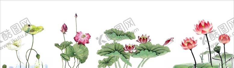 编号：16884510240519155592【酷图网】源文件下载-荷花