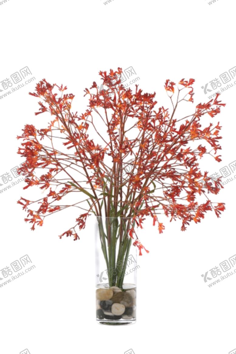 编号：37459609110500025433【酷图网】源文件下载-免抠背景花草树木