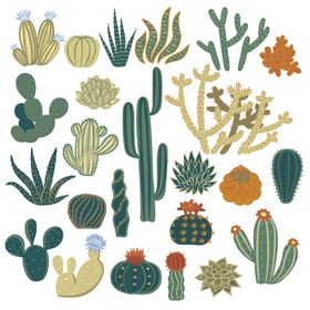 多样仙人掌植物插画