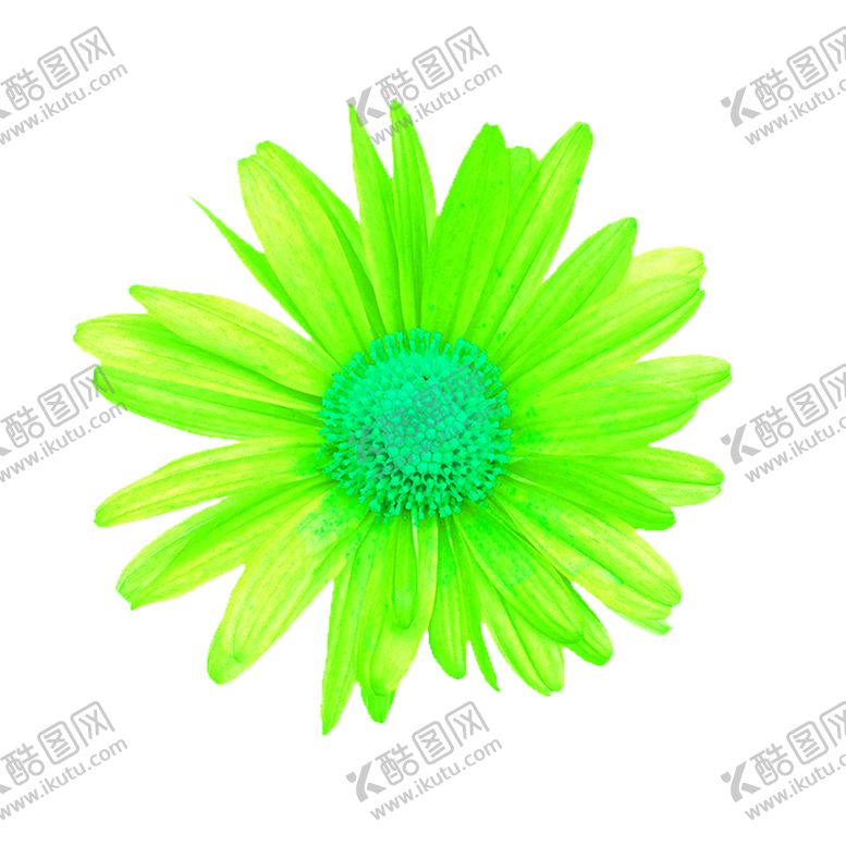 编号：60084606301237178364【酷图网】源文件下载-花素材