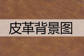 编号：18673510011414053572【酷图网】源文件下载-皮革