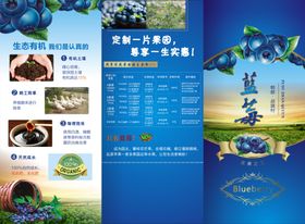 蓝莓酒三折页