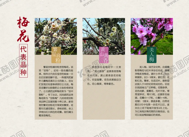 编号：43201909161910504728【酷图网】源文件下载-梅花展板