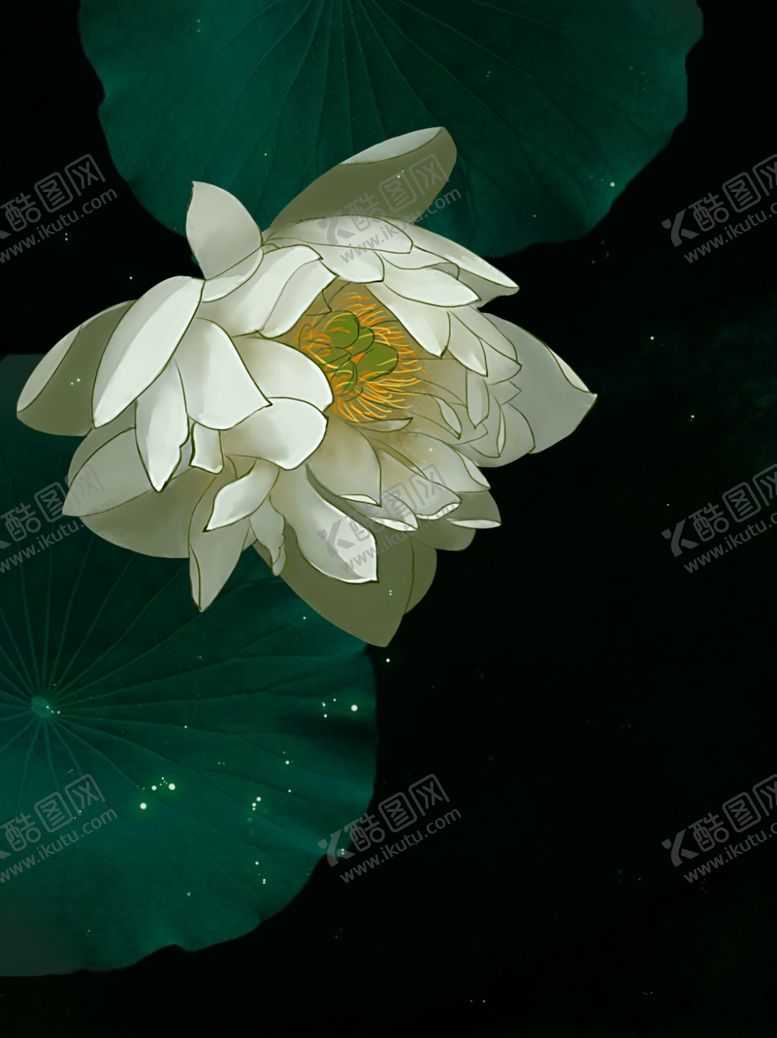 编号：67970205080046109695【酷图网】源文件下载-插画素材