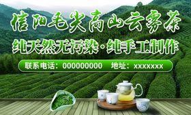 信阳毛尖茶宣传广告海报