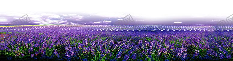 编号：71929309260038502239【酷图网】源文件下载-浪漫素材