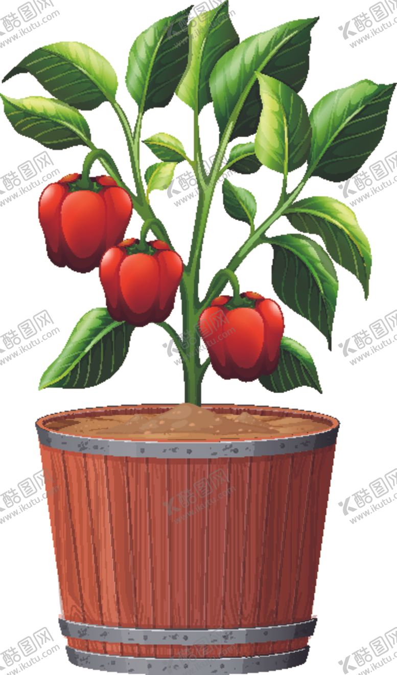 编号：46919109161559233638【酷图网】源文件下载-盆景盆栽