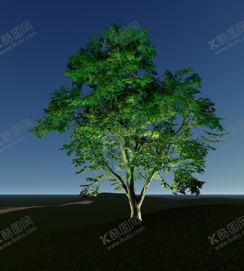 编号：48287205062337342397【酷图网】源文件下载-灯光树夜景树素材灯光树素材