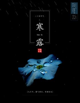 寒露海报