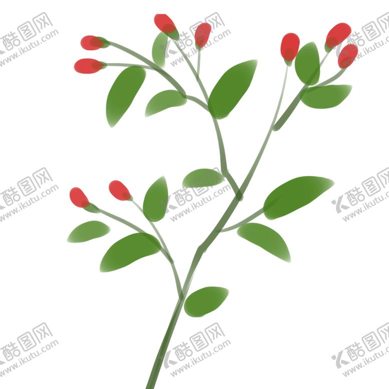 编号：13306510311844048292【酷图网】源文件下载-手绘枸杞