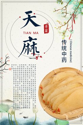 传统养生食材海报展示