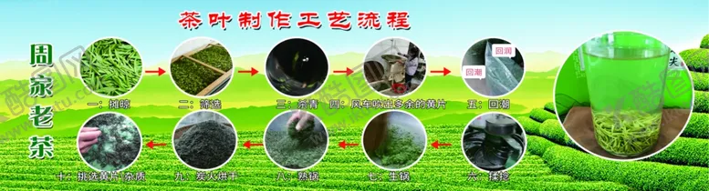 编号：31116004210801568451【酷图网】源文件下载-茶叶制作工艺流程