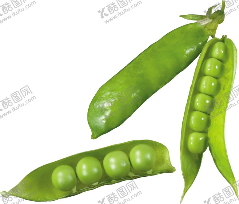 编号：51381605062238557492【酷图网】源文件下载-豌豆