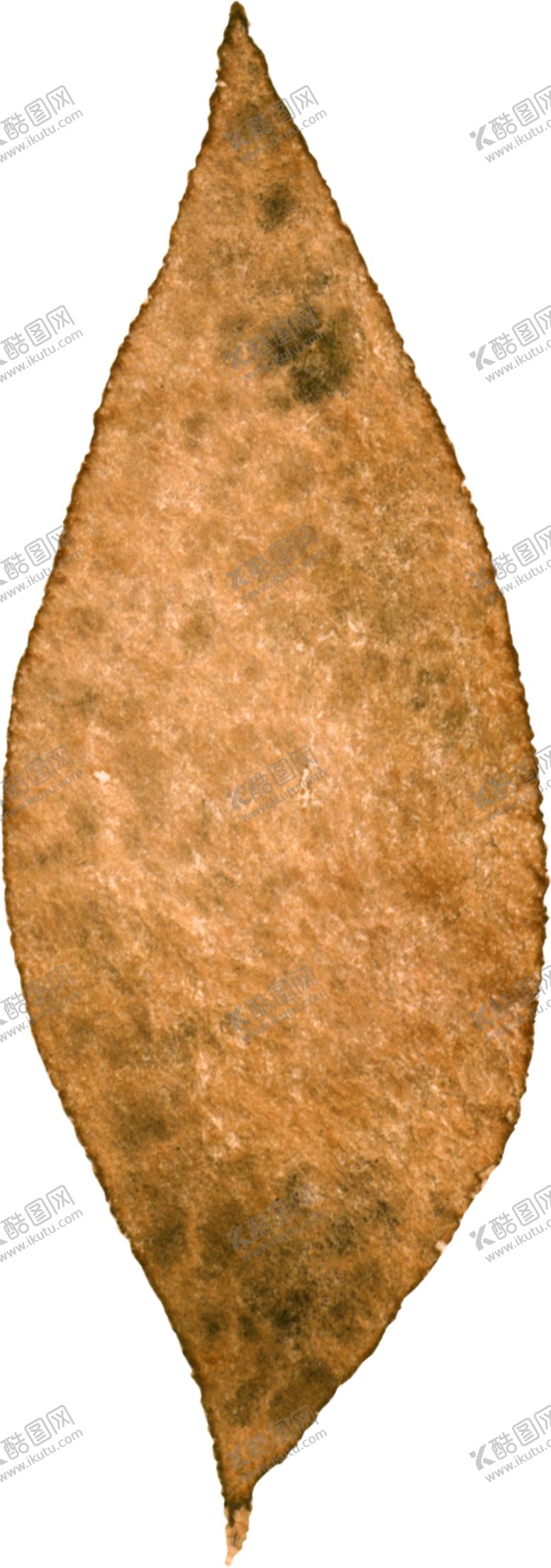 编号：24984709211639429656【酷图网】源文件下载-叶子