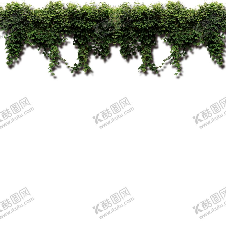 编号：37731007130759379096【酷图网】源文件下载-绿色背景