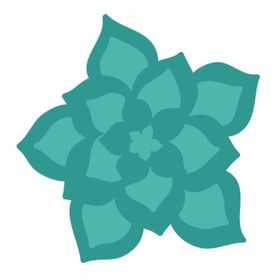 小清新仙人掌绘画图案