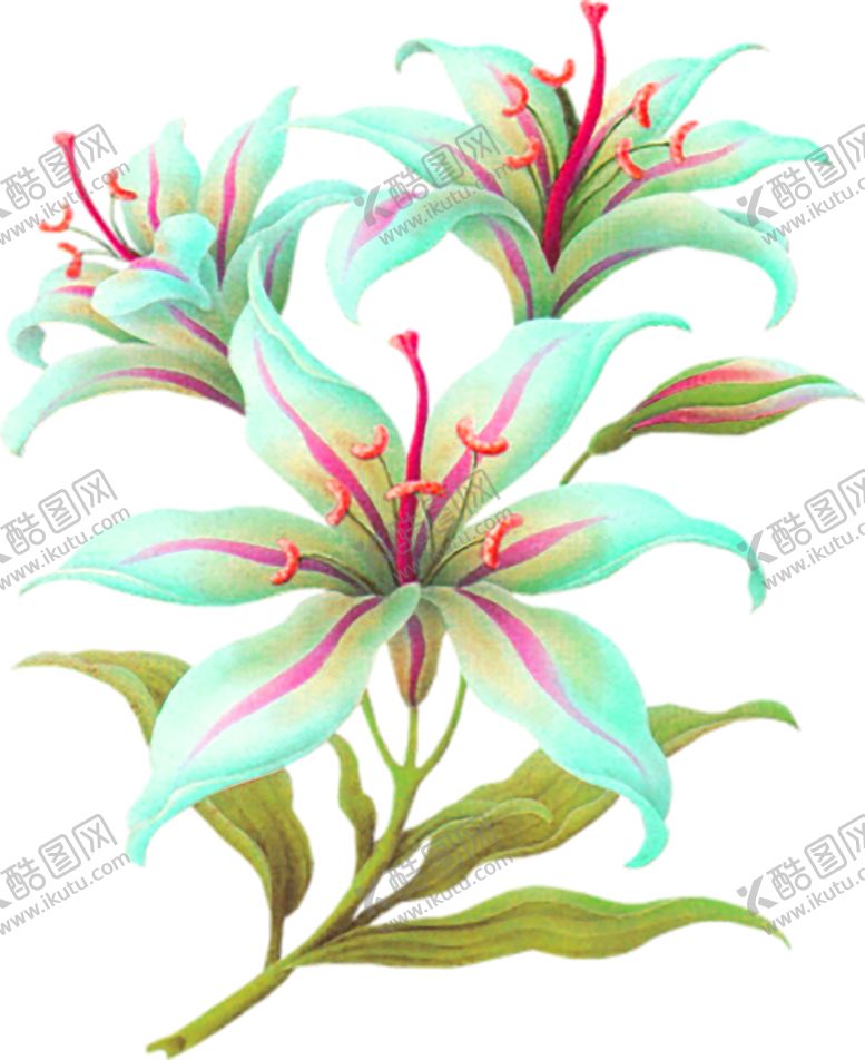 编号：59017405111714589546【酷图网】源文件下载-鲜花素材