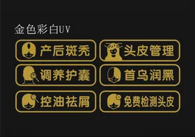 头皮管理