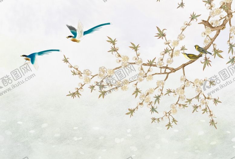 编号：24717310022051317907【酷图网】源文件下载-花鸟