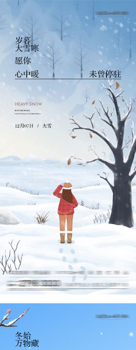 地产大雪冬至插画海报