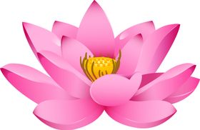免扣荷花