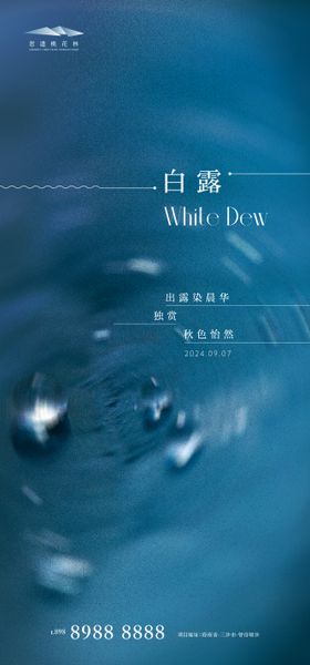 白露海报