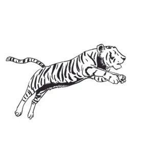 创意老虎插画图案