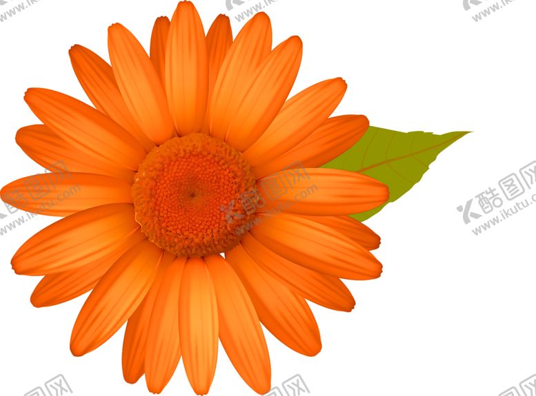 编号：28383409161523467804【酷图网】源文件下载-花素材