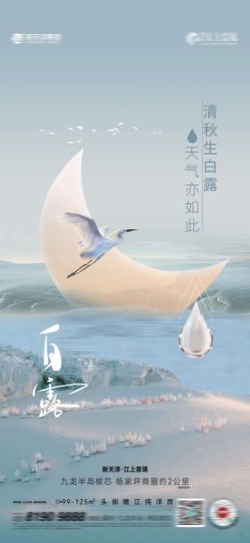 白露海报