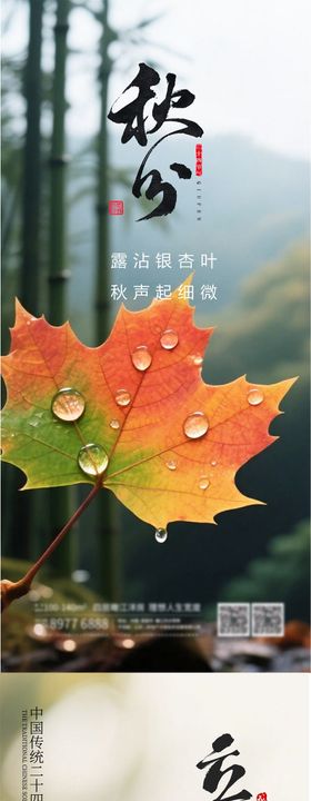 立秋秋分二十四节气海报