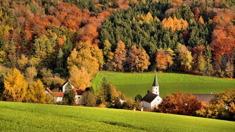 编号：61846110142056241599【酷图网】源文件下载-森林