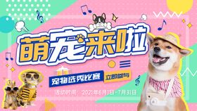 萌宠可爱活动展板