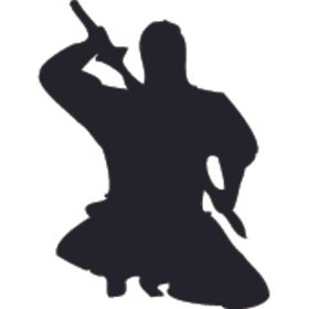 武术格斗剪影