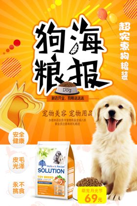 宠物海报