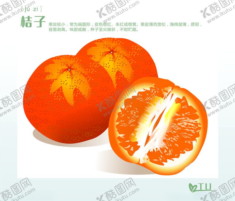 编号：52990612121706251776【酷图网】源文件下载-适量图桔子