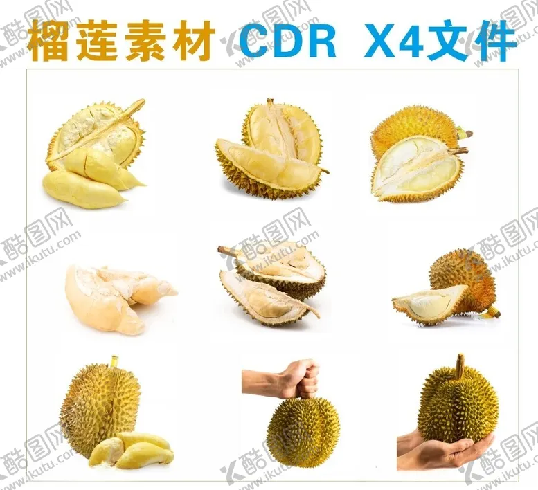 编号：86740502120418152232【酷图网】源文件下载-榴莲素材